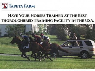 New Tapeta Farm Brochure