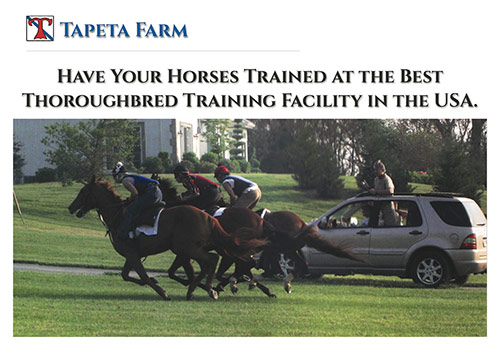 New Tapeta Farm Brochure